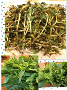 11387A8C-5683-46FD-A743-63845EDF4A49