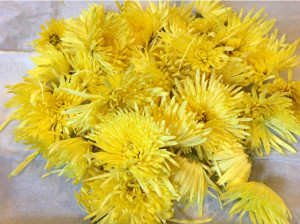 5C65BF55-5E07-4331-8FB3-A057FFF47D77