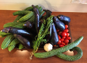 11E26A2B-5343-4135-A8BB-5EFA3E439534