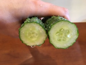 D4D3502F-7C09-406E-B5F1-BE430BB88822