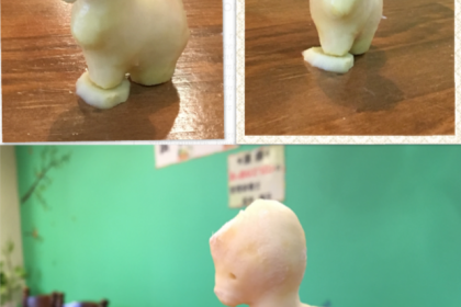 2F0E171E-DBDD-4A1C-9553-D01D22356FFC