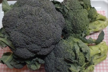 Screenshot_20260215-090520~2